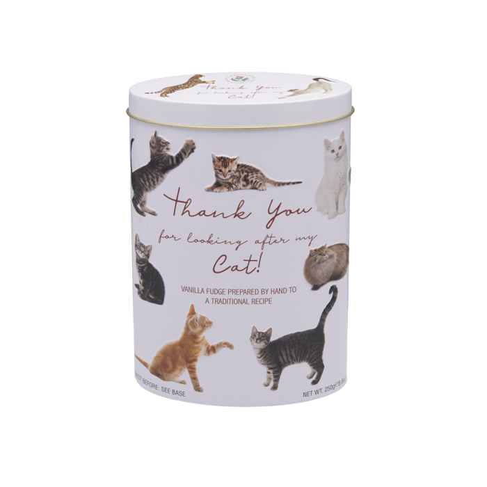 Top Food Feinkost - Gardiners of Scotland "Cats" Vanilla Fudge  250g - Dose | Butterkaramell mit Vanillegeschmack in Geschenkdose: "Thank you for looking after my Cat" - Reliefdruck.